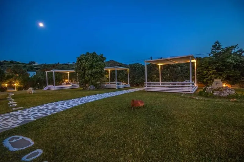 Garden at golden hour with olive trees and stone paths