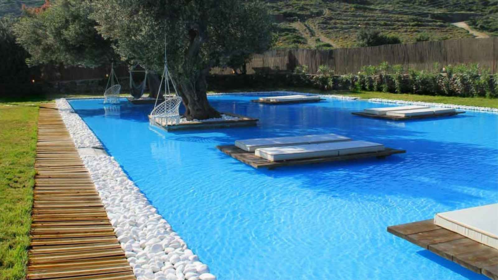Pool framed by a century old olive tree