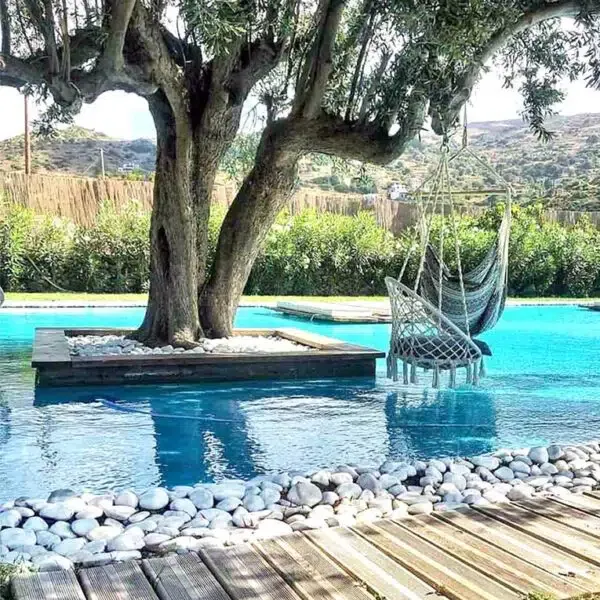 Tree swing beside the pool