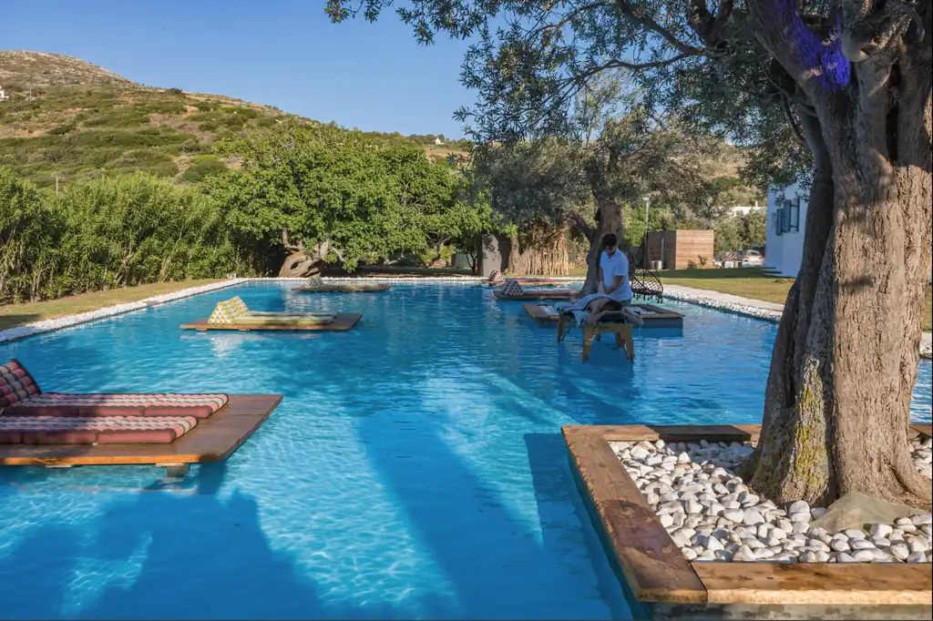 Wide view of the pool with massage table set under the olive tree